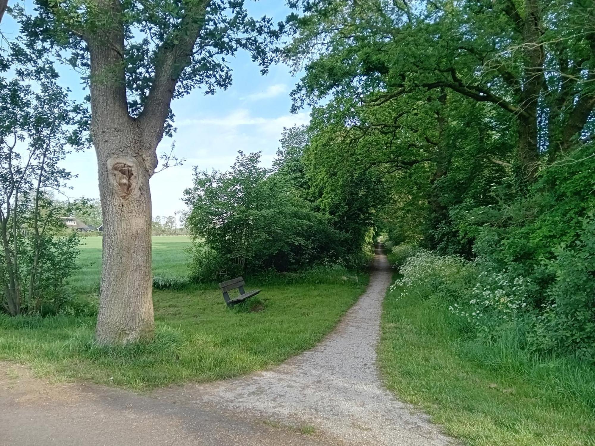 Ruim Huisje Op Een Prachtige Plek Hemrik Kültér fotó