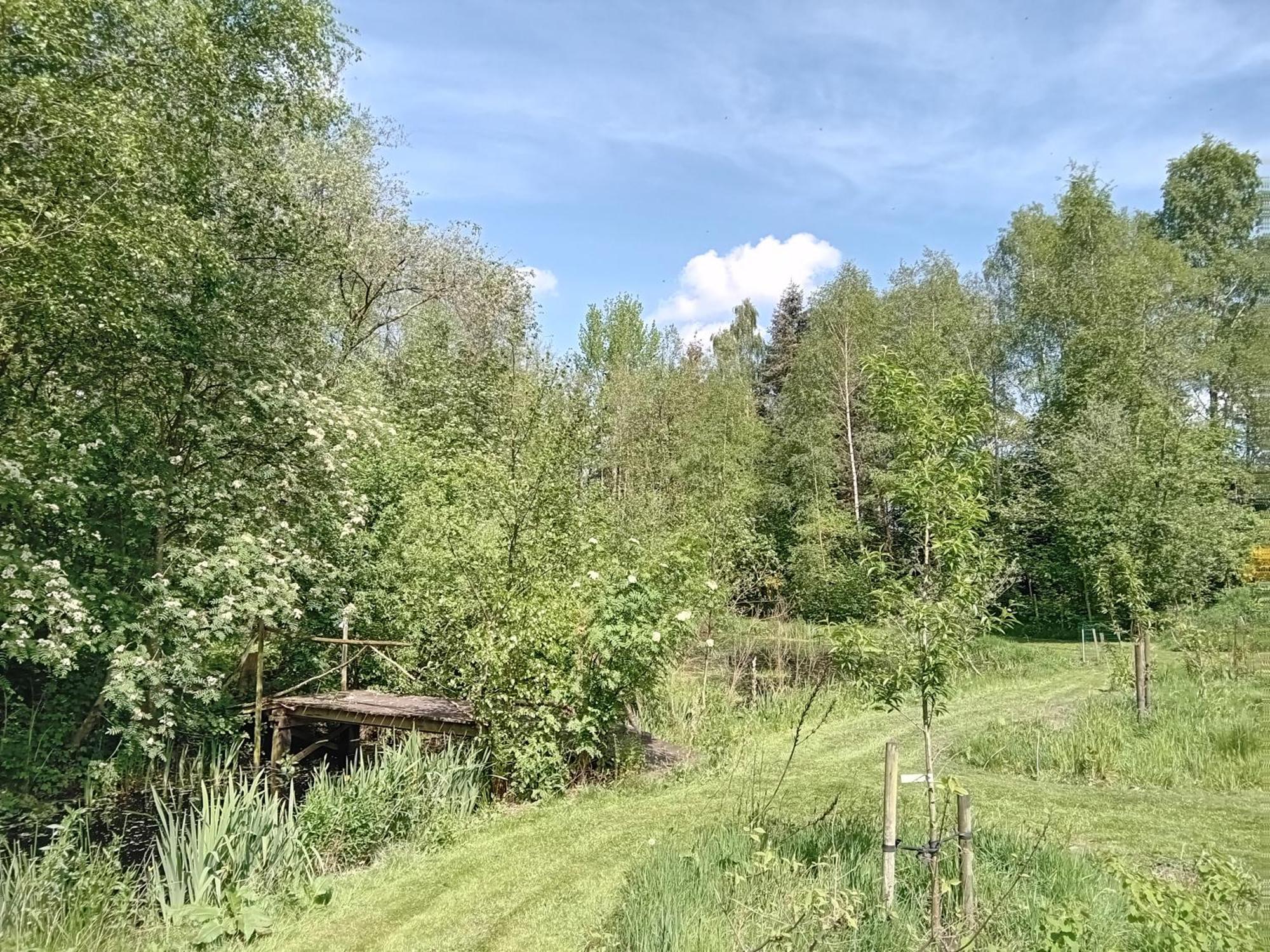 Ruim Huisje Op Een Prachtige Plek Hemrik Kültér fotó